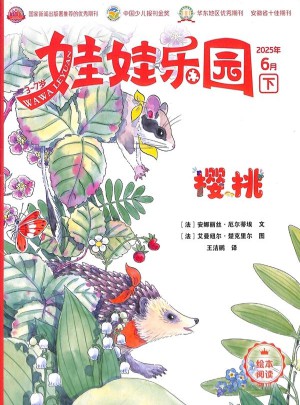 娃娃乐园杂志订阅